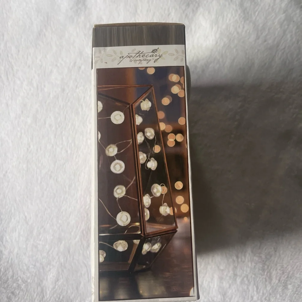 Decorative LED String Lights